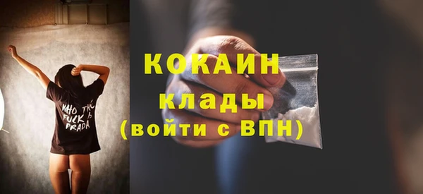 мдпв Богородицк