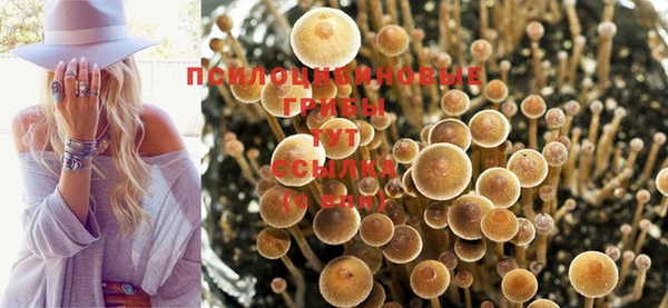 спайс Тында