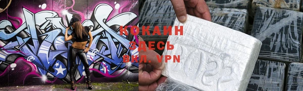 мдпв Богородицк