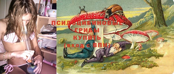mdpv Беломорск